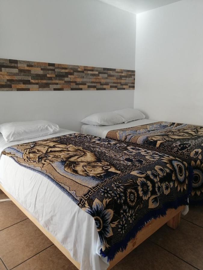 Hostal Maple Querétaro Exterior foto