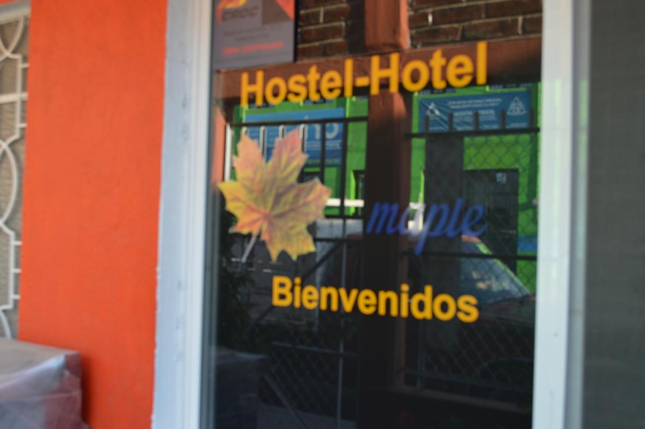 Hostal Maple Querétaro Exterior foto