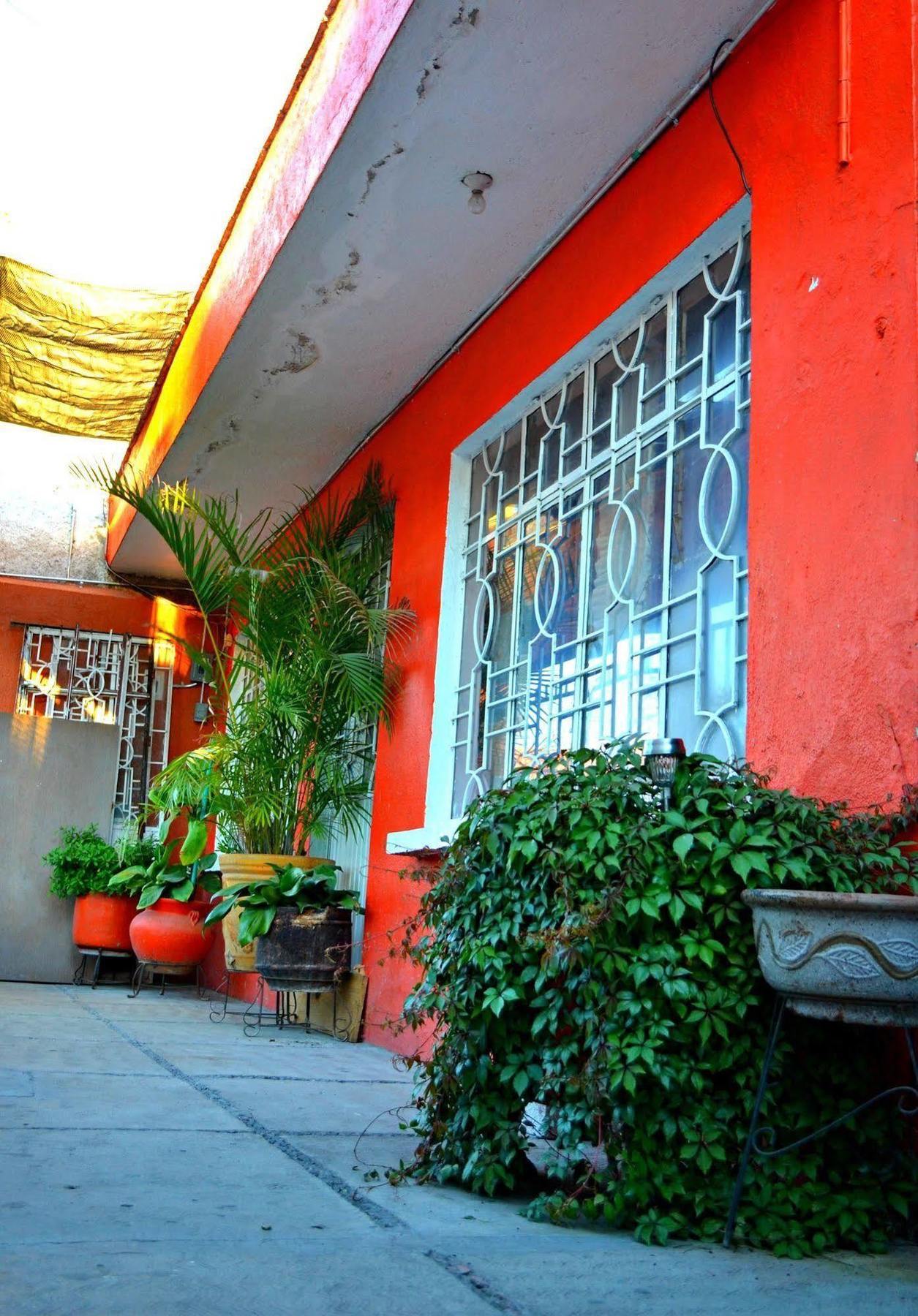 Hostal Maple Querétaro Exterior foto